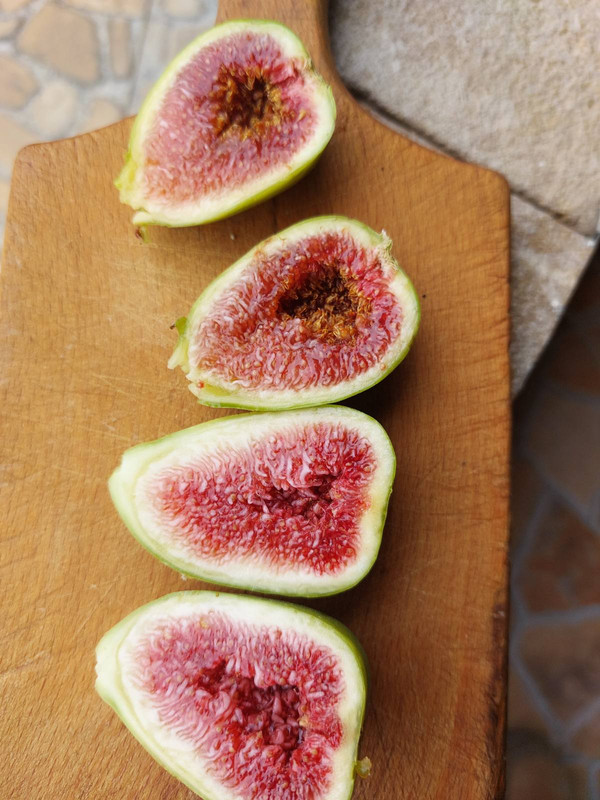 0-02-05-6baebc35b97f522659c6ce0bf249b7cbdfb5116dc05d4f26a6b7f1aad794b6b5_3ea5dd3d22f83f7c