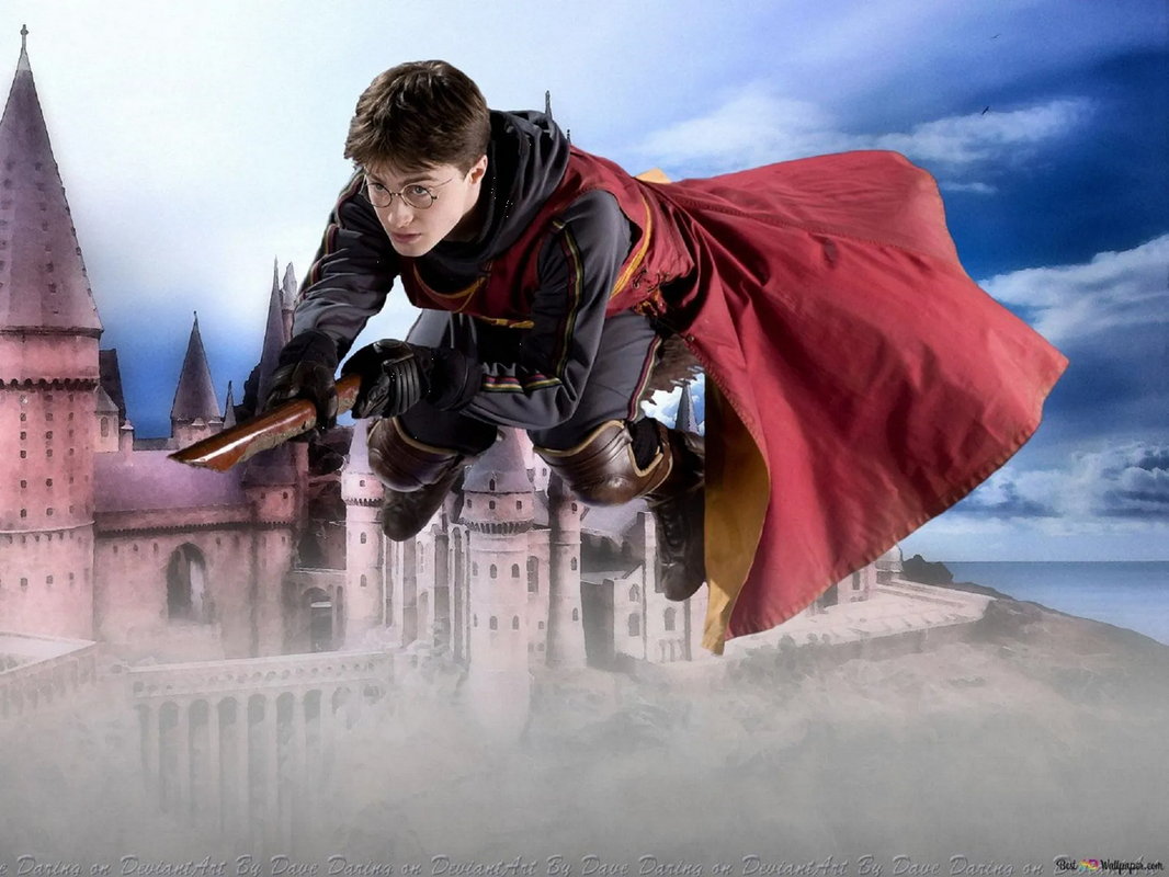 ¡Conoce al Harry Potter de la vida real! Video lo capta sobre su escoba voladora