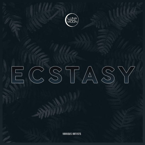 VA - Ecstasy (2020) mp3 320 Kbps
