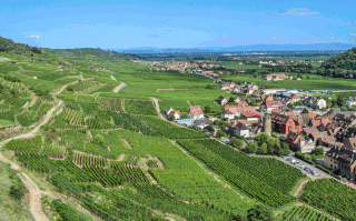 Une vue sur l’Alsace 