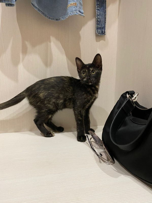 1CE5143B-FA0B-4541-A695-7E2A68EC9159