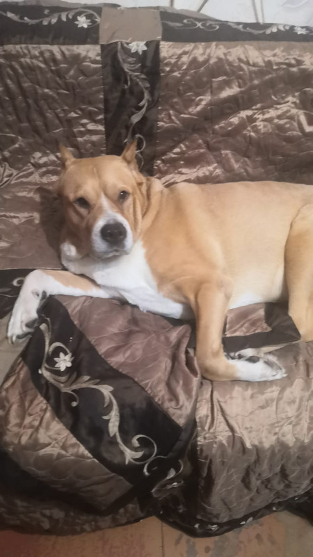 C96FA15F-4ED5-4313-B603-8D76389C6785