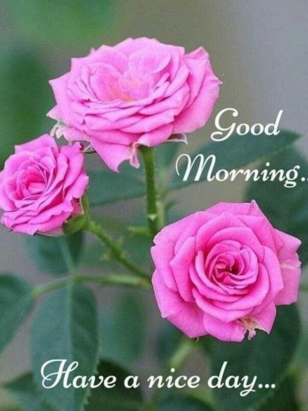 4a28e6c5dc34a71ca650d56c2e6a31e4