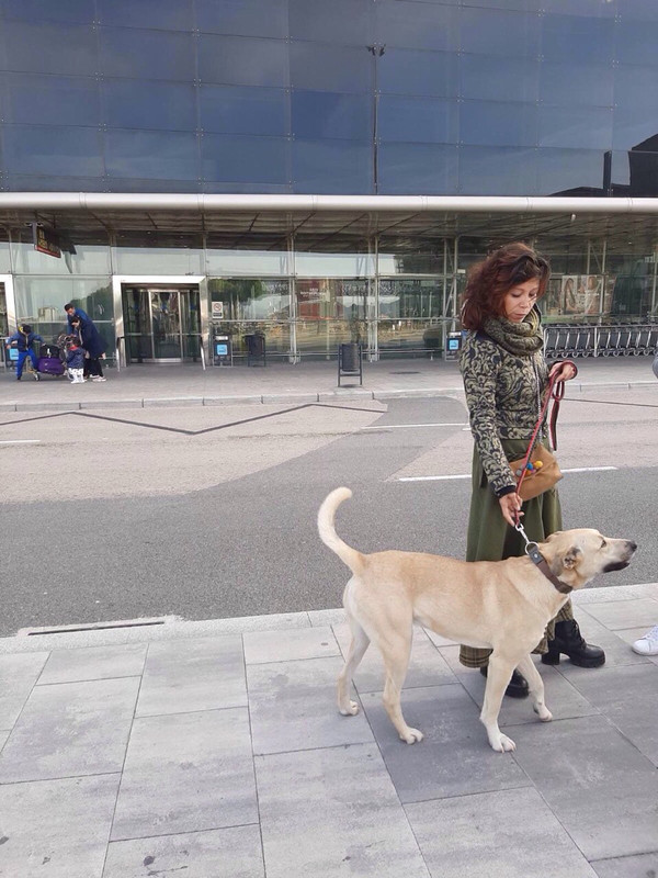 ральф в испании 1