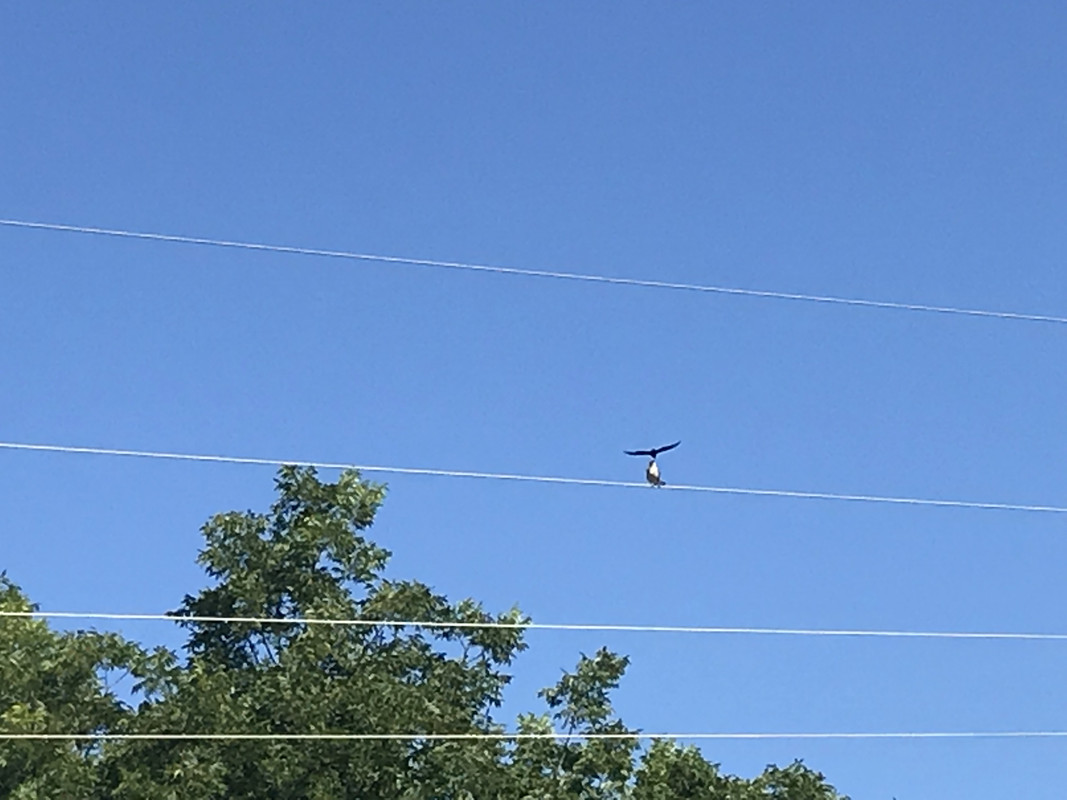 D1CFC8BF-08B7-4914-AE01-F8508E30EE9D