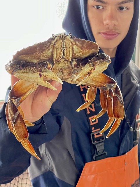 [Linked Image from i.postimg.cc]