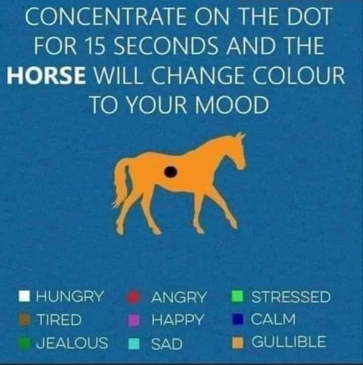 3005-B2-CE-8-D94-43-A8-A839-DC8-CCD18-F1