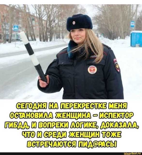 1646683709-38-krot-info-p-smeshnoi-gaishnik-smeshnie-foto-40