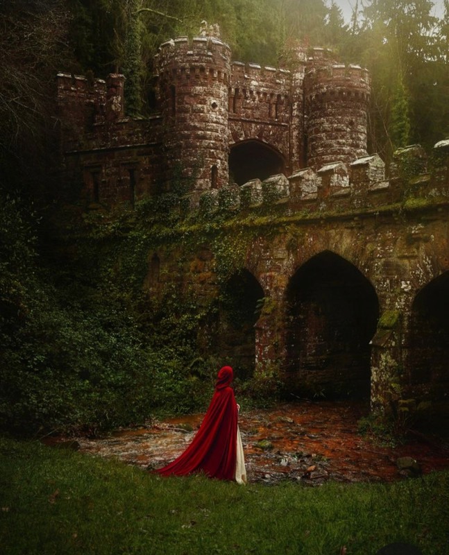 Screenshot_20231127_221223_Pinterest