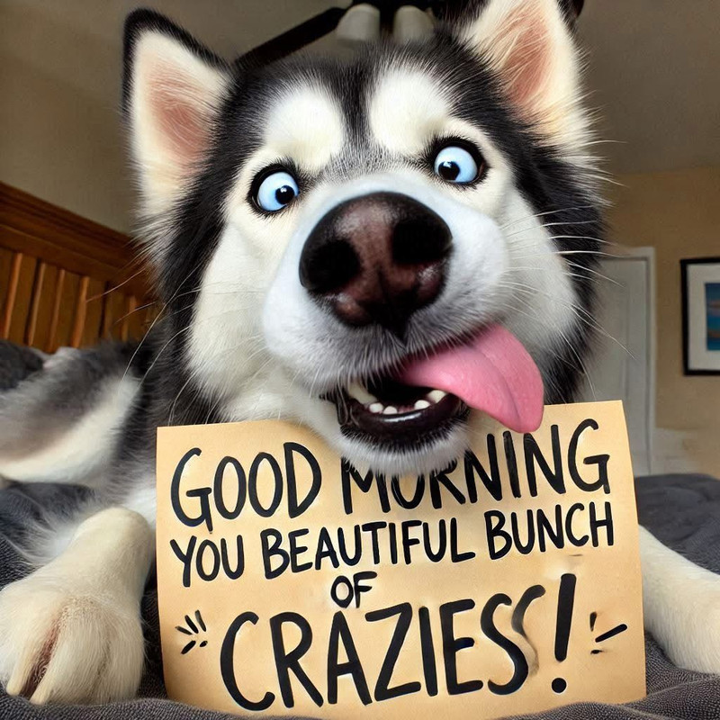 ffb22bf6fb36c0aa1f1310365b1a7faf