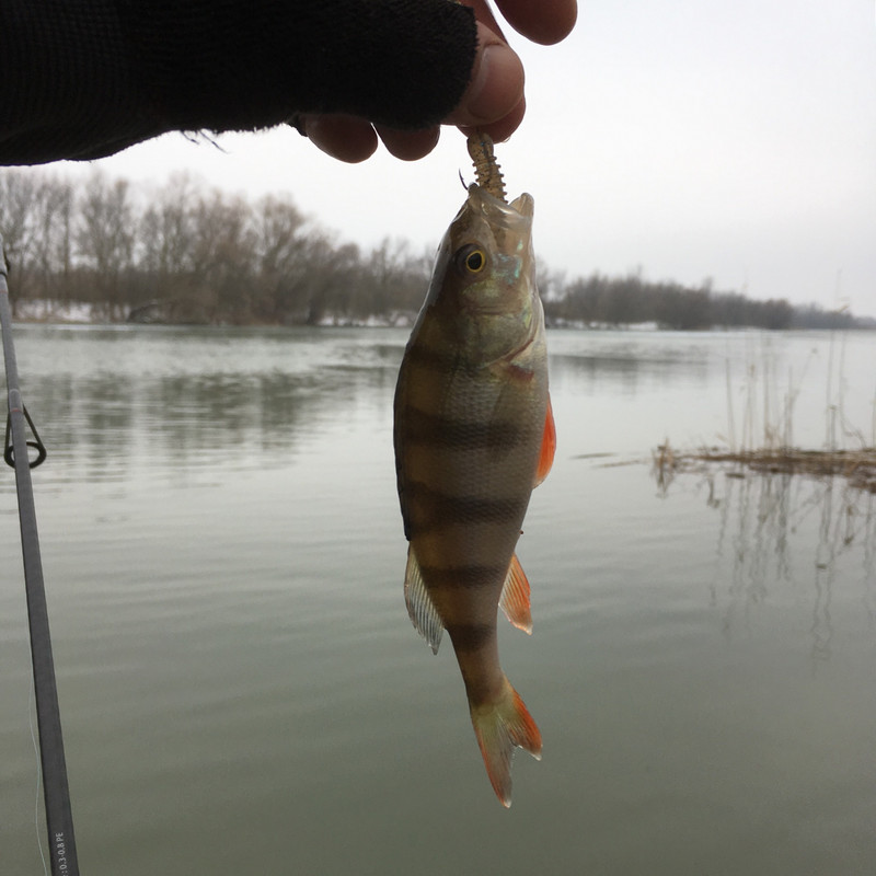 F1EF0147-D909-45D0-A8EC-7B979C4425AE