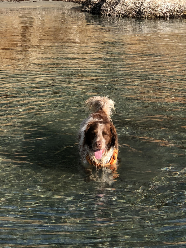 7DBB70E8-C56E-4A92-A076-E6EA166F0607