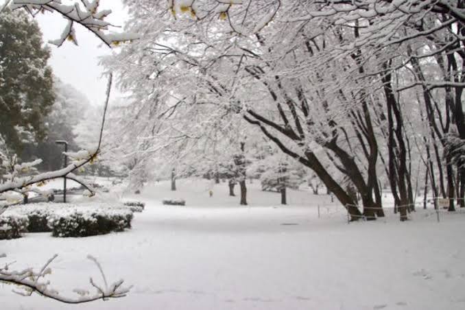 Jardins impériaux sous la neige