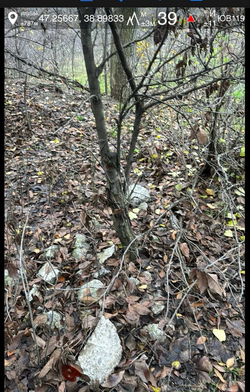 photo 35 2025 11 29 11 27 08