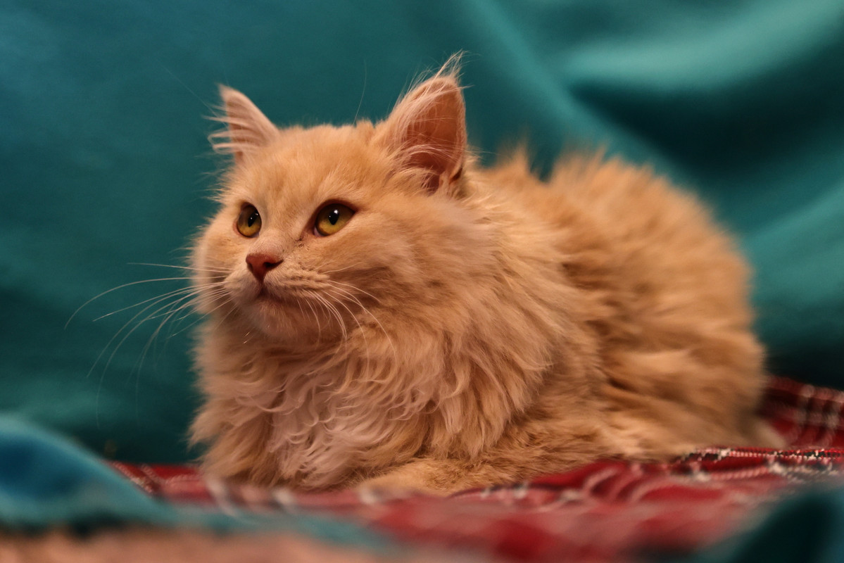 60118592-4A93-477A-979E-A763981FDE80