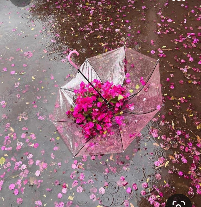 Screenshot_20231012_145713_Pinterest