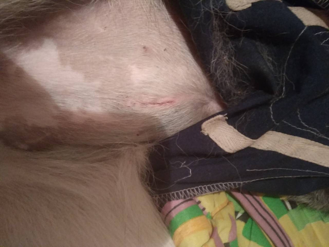 IMG-b02c568bc385fe246559aedc03a00492-V