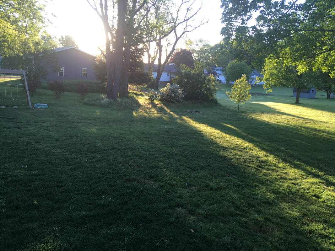 A8D4EA3A-3D01-4393-8189-591F5258FA12