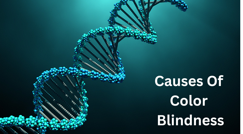 What Causes Color Blindness