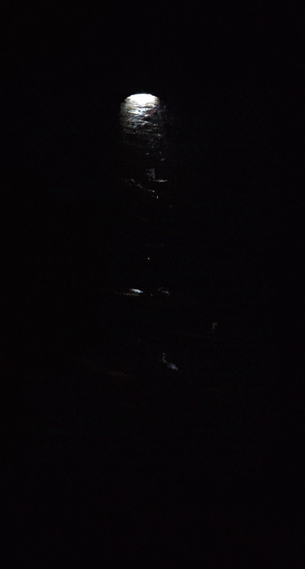 IMG-20250103-171055.jpg