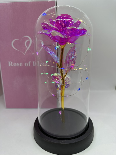 rose-02.jpg