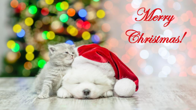 merry-christmas-small.jpg