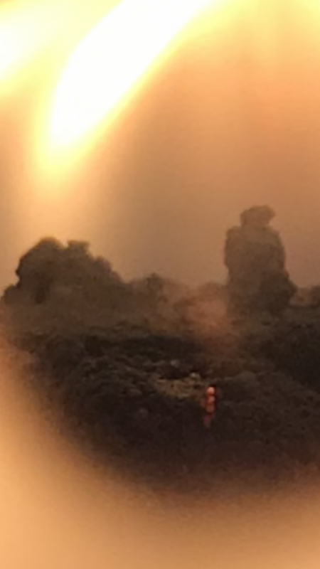 4059D0DB-D11E-4311-8FD2-2A030D4C0672