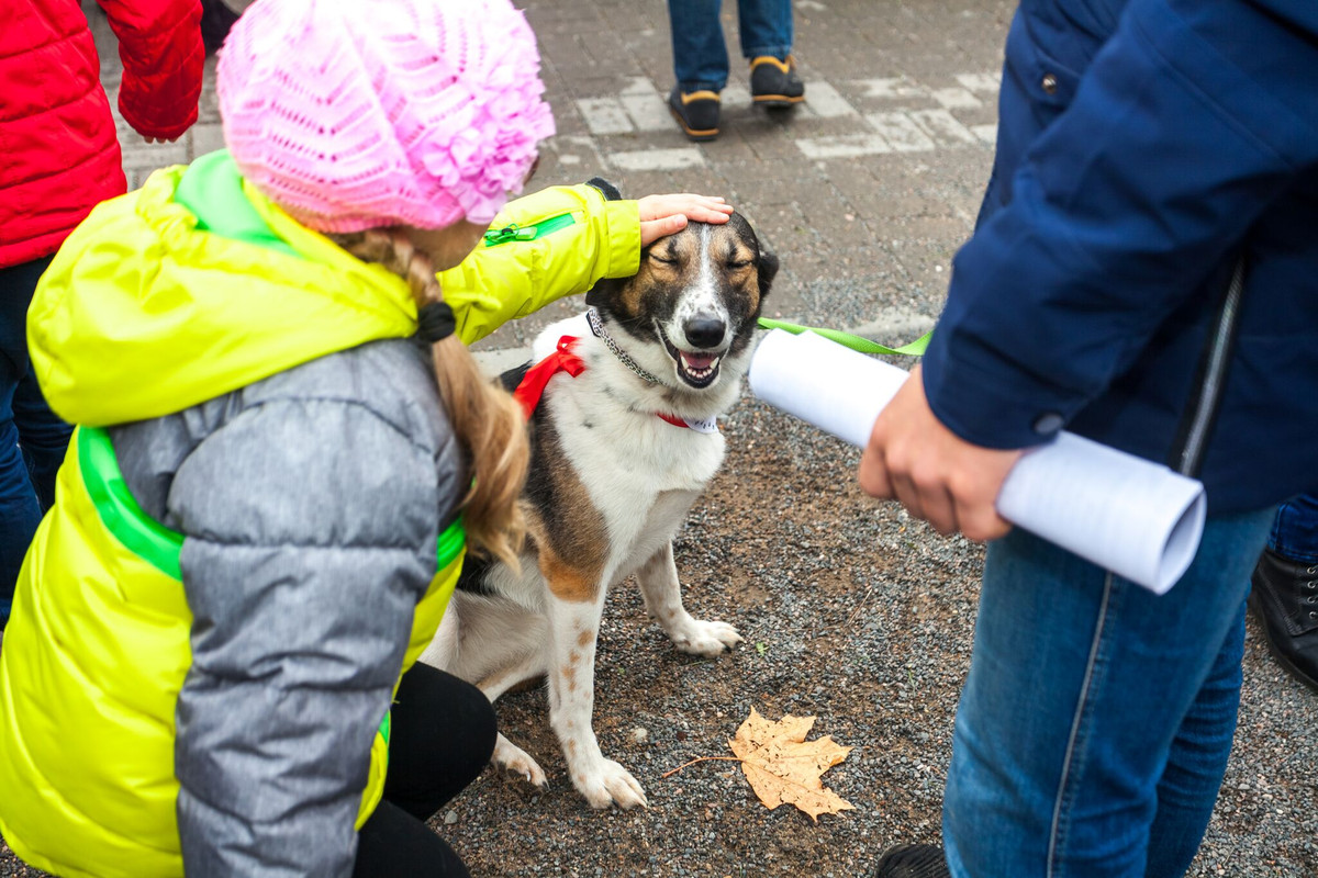 2247DE88-5951-48BC-A561-5524D0003754