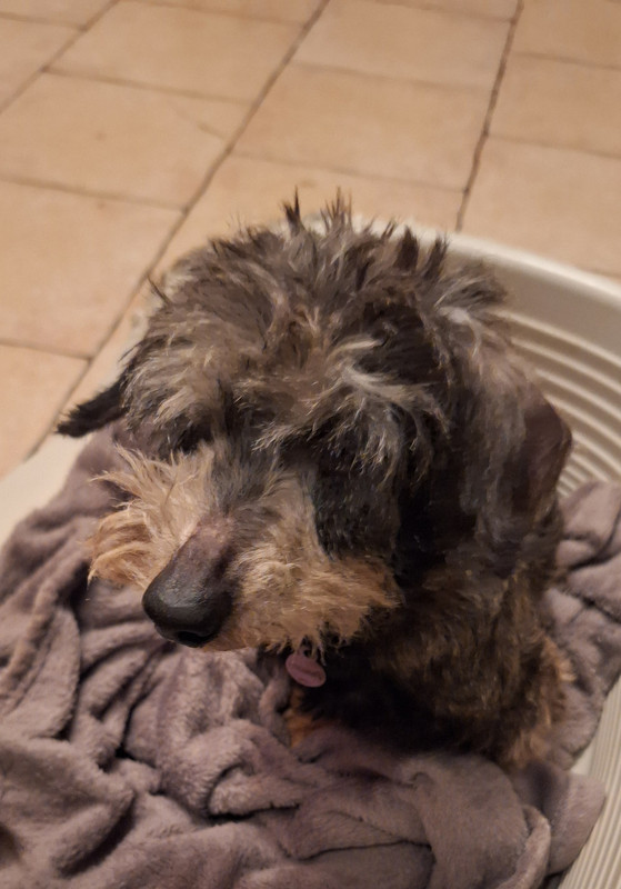 [Image: 20250210-185401-0.jpg]