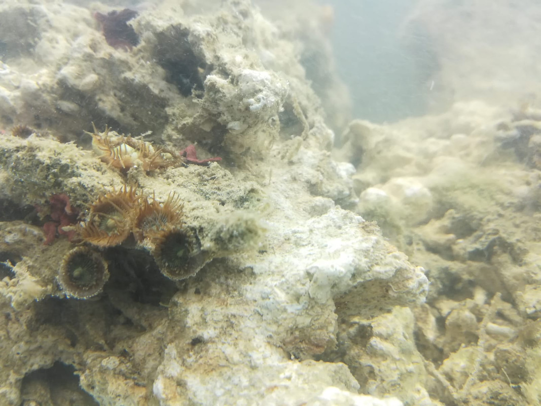 WhatsApp Image 2019-02-25 at 23.00.26(1)