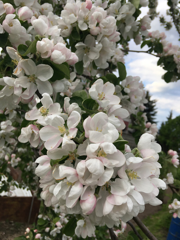 E55DE3E2-044E-4BCF-91A8-FDFB039B7512