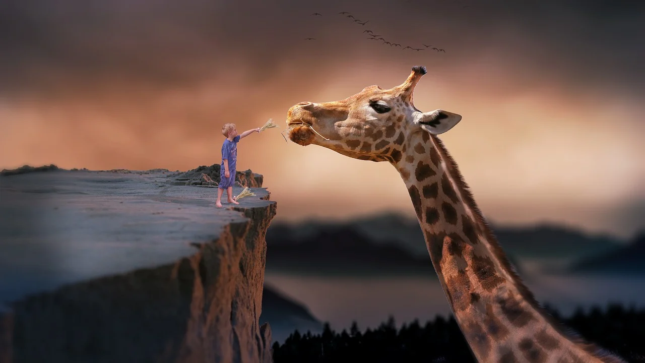 brown-giraffe-1959110-1280.webp