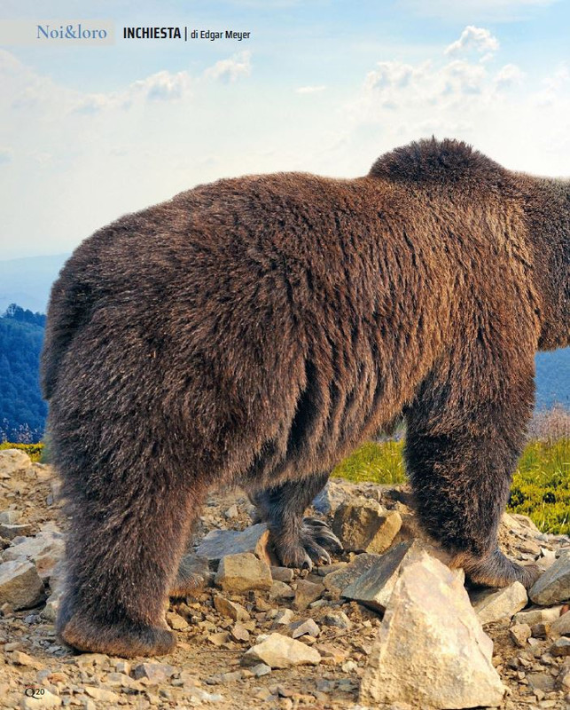 QuattroZampe Giu 2023 (3)