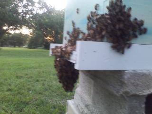 10514656_10201456743340646_3802768278818026101_n