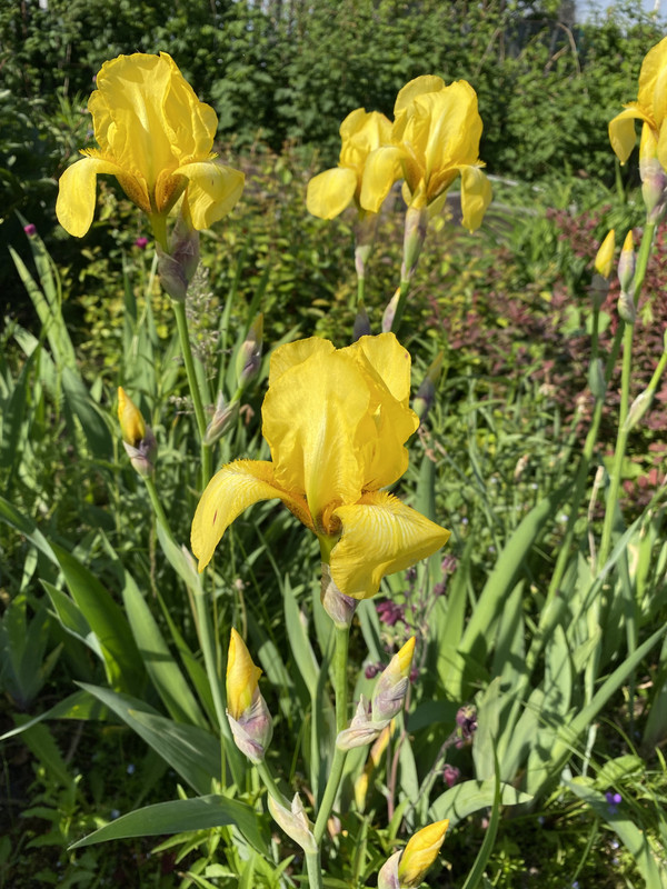 E843BA69-9DE1-4E67-B4B5-EAF6841CE3CE