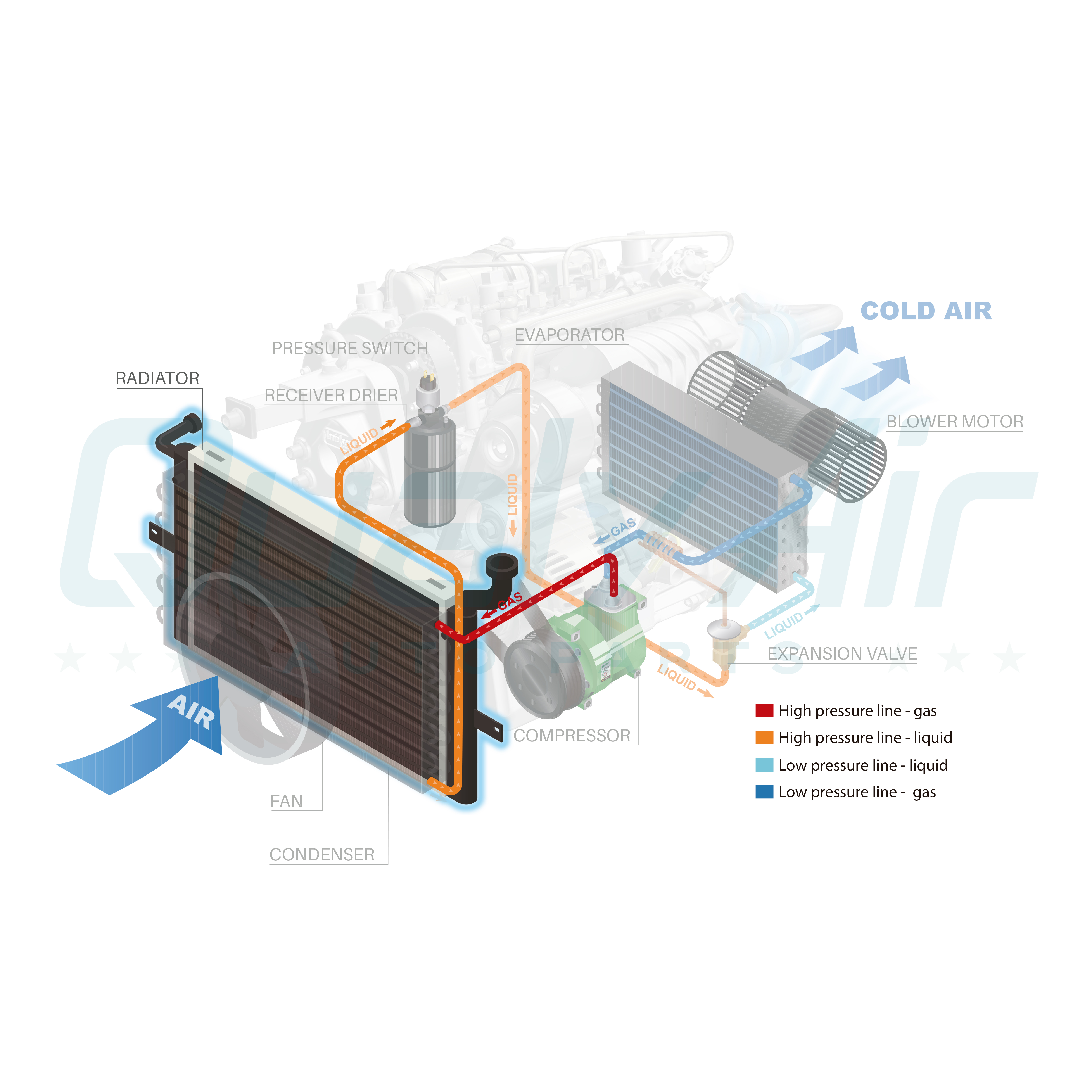 Radiator for Lexus LS400 4.0L - 1995 1996 1997 1998 1999 2000 QOA - Picture 3 of 6