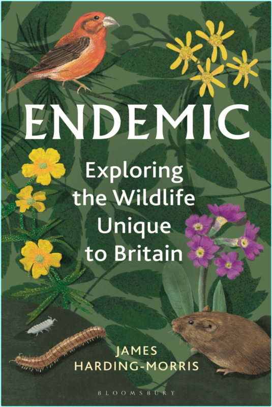 Endemic Exploring The Wildlife Unique To Britain (James Harding-Morris)