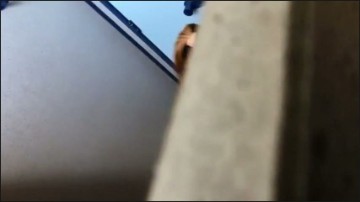 [Image: Voyeur2475160042.jpg]