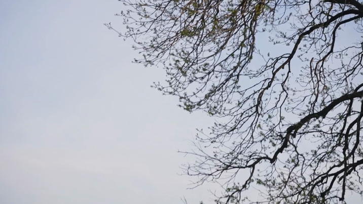 [Image: 7oz5mhsw-23lk.png]