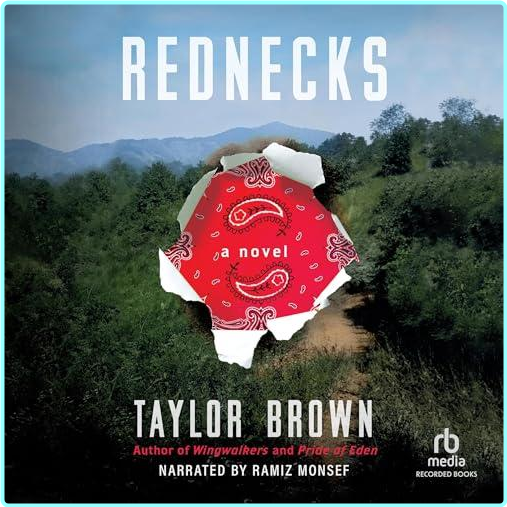 [Image: 1x1w6fdqp4yv.png]