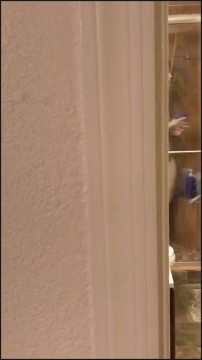 [Image: Voyeur35555143710.jpg]