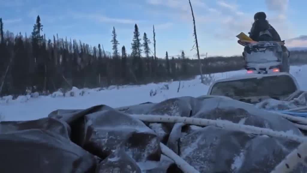 [Image: vei50ic4rht5.jpg]