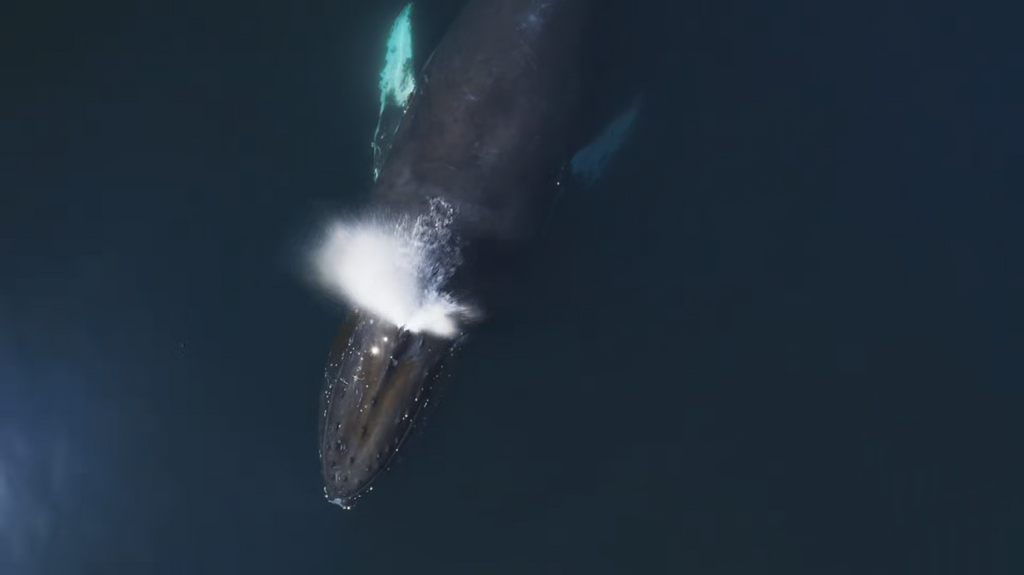 [Image: 00r6z3qtqxbj.png]