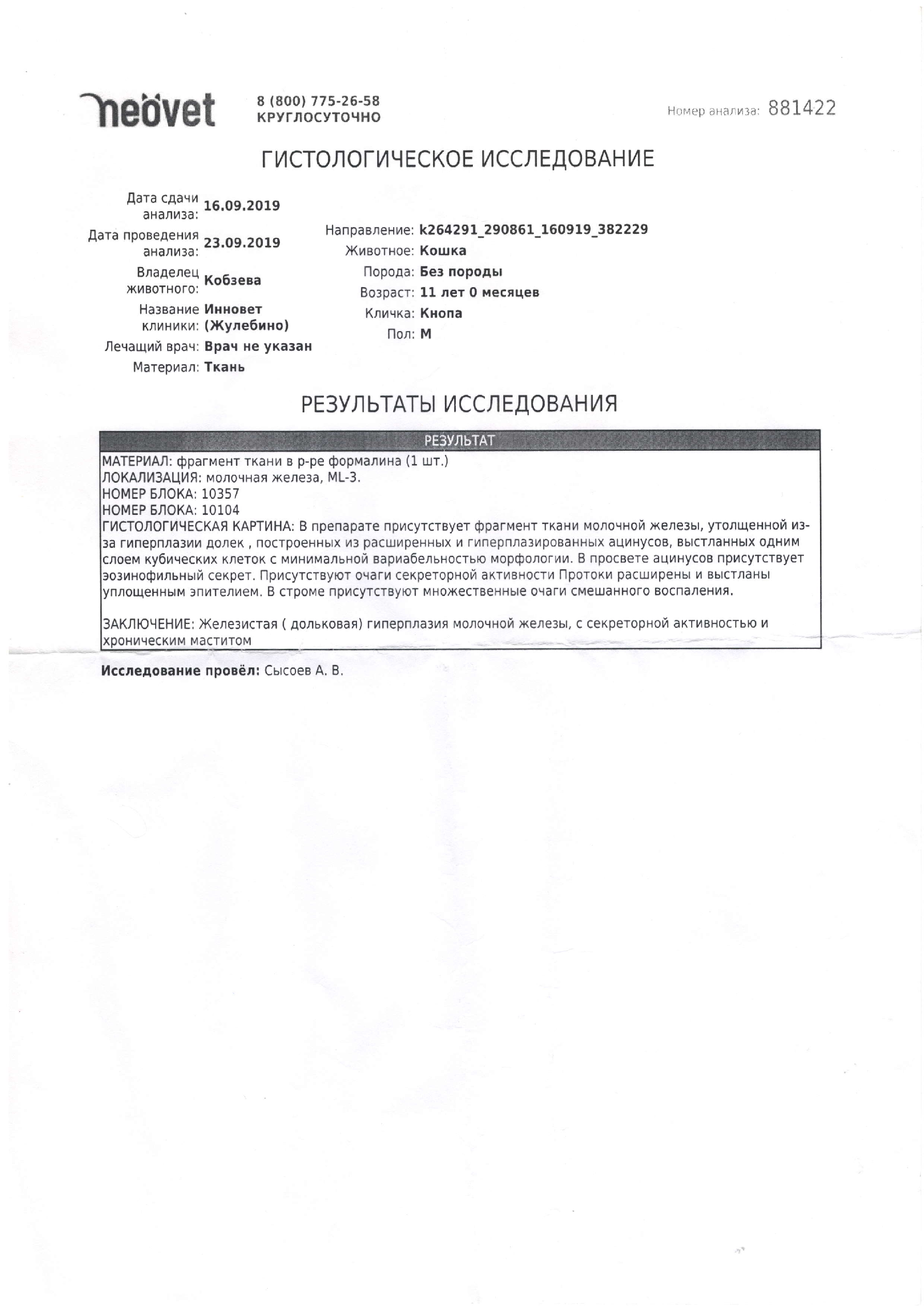 IMG 0001 — Postimages