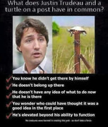 TrudeauTurtlepost