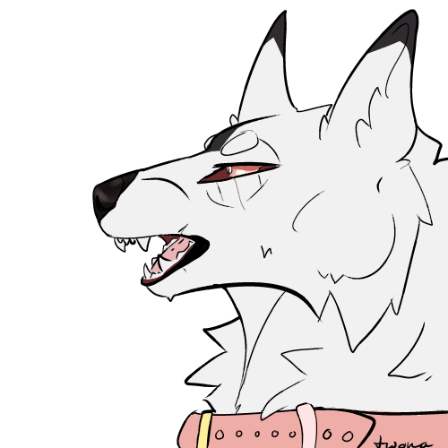 Wolf-pog.png