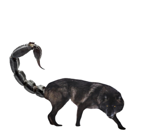 1B0B7495-7F77-48F7-AFCA-9BE3BE733DB1