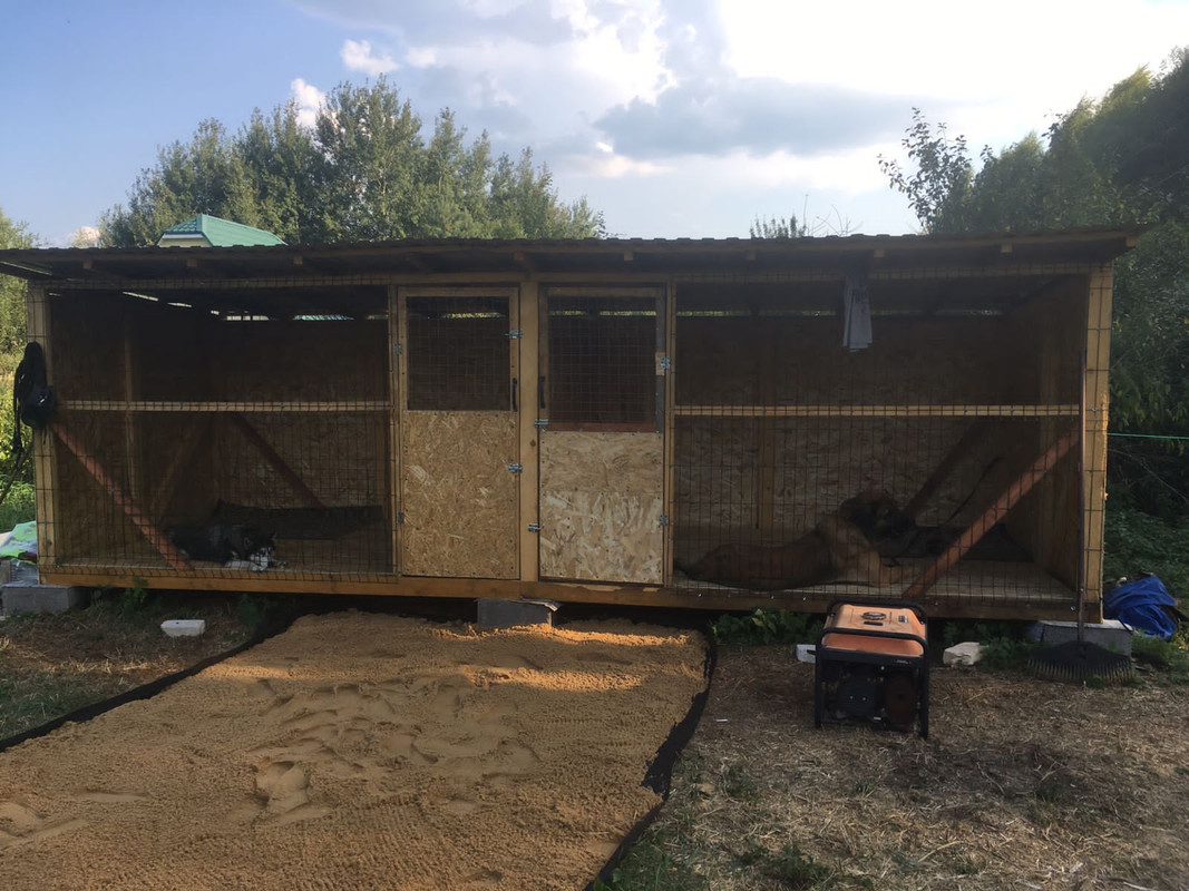 11C46C50-03E3-46AC-A72B-E6C7B03541E3