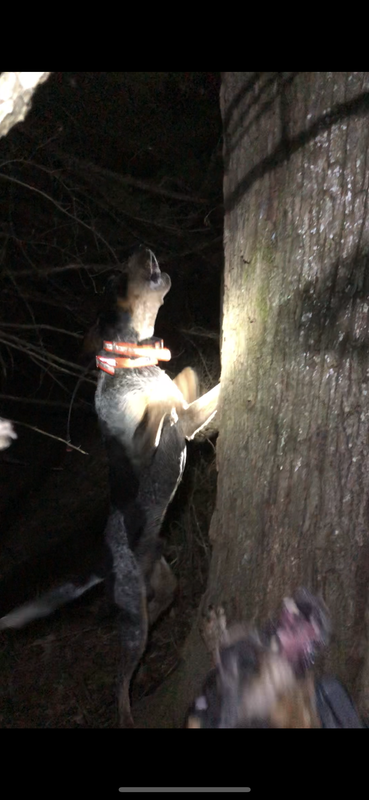 127B5C4A-6938-4877-BA81-E00D02D6A7D6