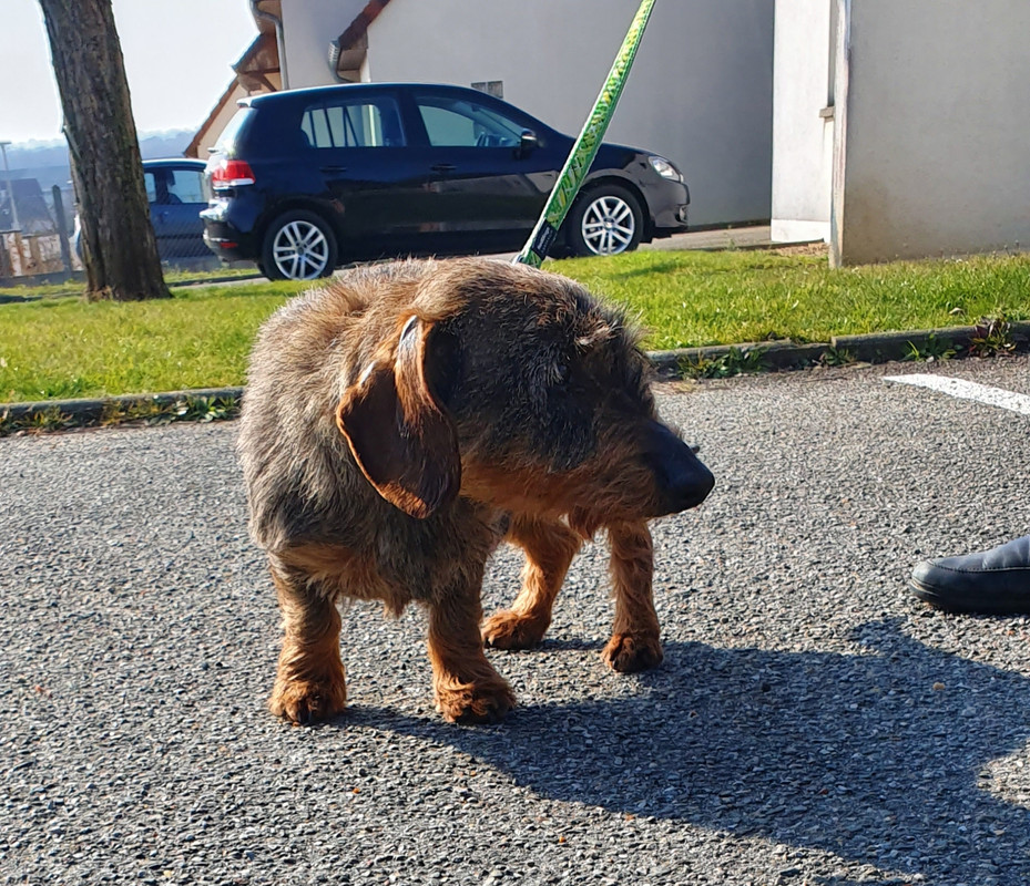 [Image: 20230313-080322.jpg]